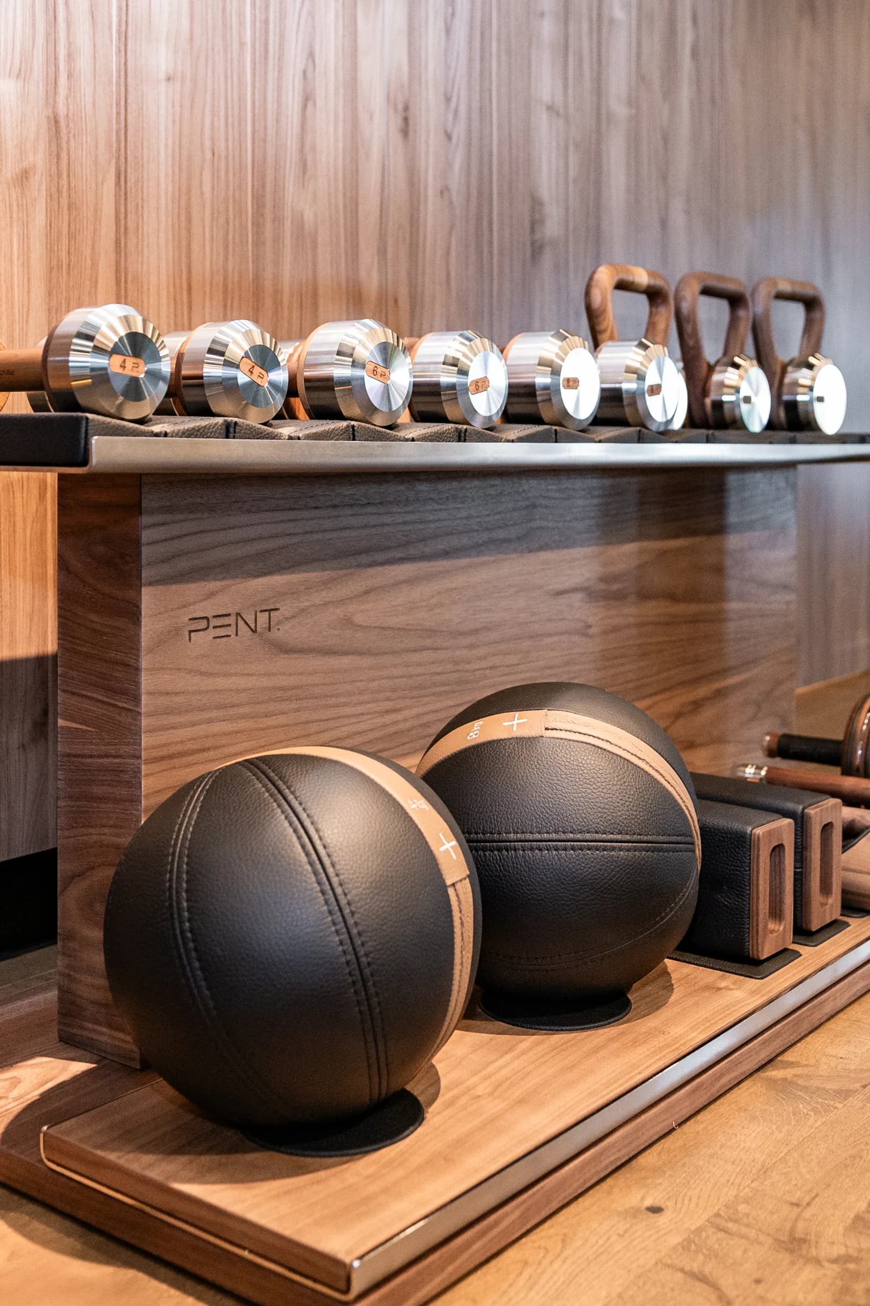 teambros premium equipment pent fitness luxury gym sydney